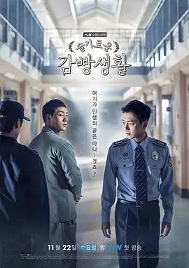 青春作伴 电视剧 2024